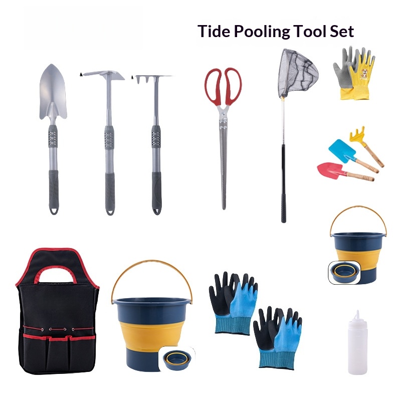 Gardening Tools Target - ガーデンツールコンビネーションセット、両用鍬ターゲットバケット、グローブクリップ、子供用カキ掘り道具、大人用シャベルハンドツール
