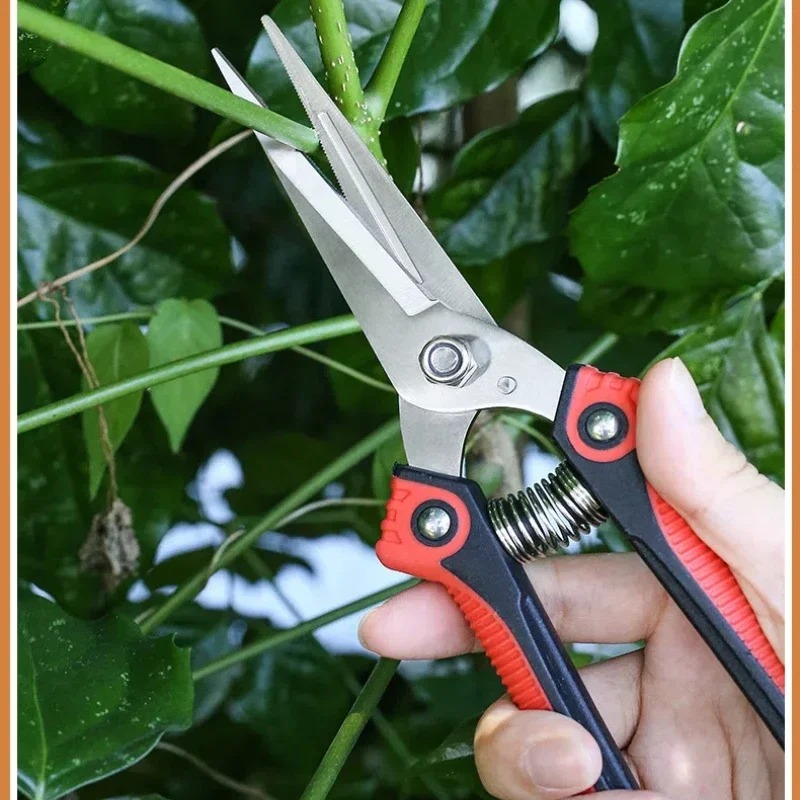 ニュースシャーク ステンレス鋼剪定鋏 シャープな枝切り鋏 滑 - Gardening Tools Sharp のレビューと価格