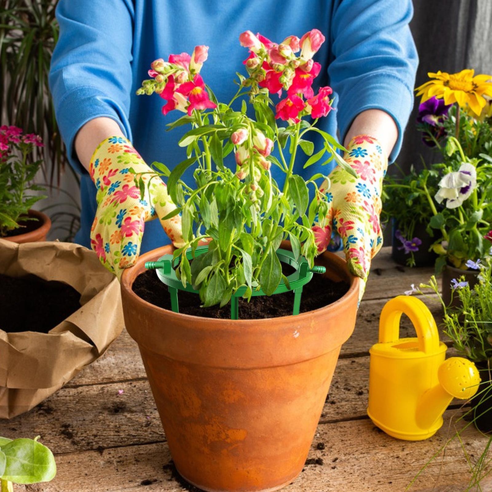 植物用ウォーターリング、植物用ハイドロリング、点滴ループ、点 - Gardening Tools Target のレビューと価格