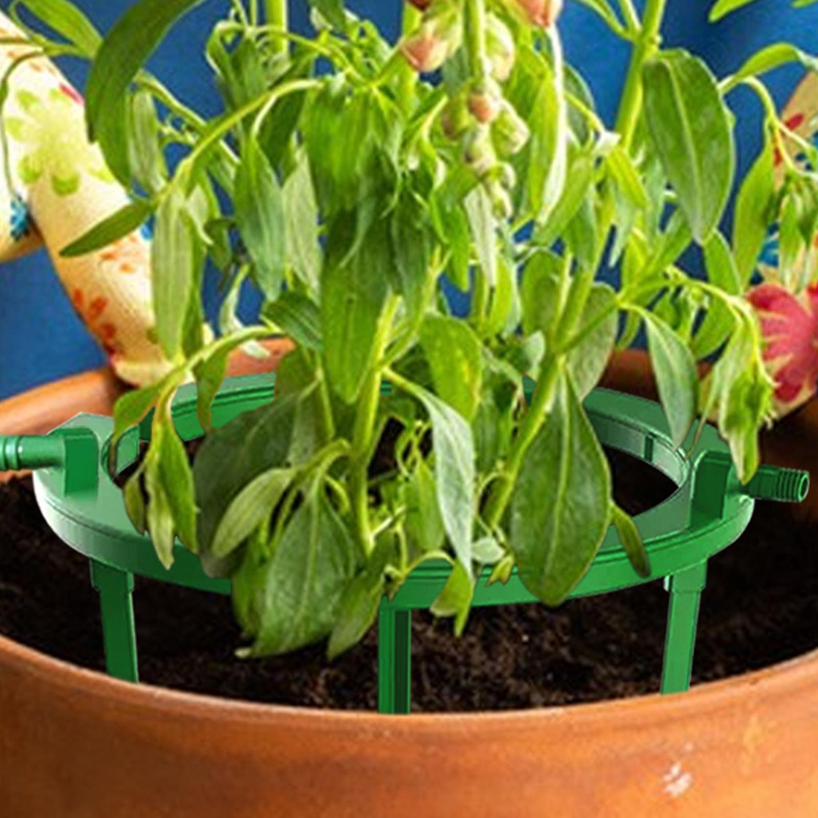 植物用ウォーターリング、植物用ハイドロリング、点滴ループ、点 - Gardening Tools Target のレビューと価格