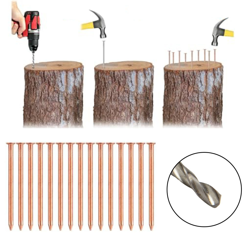 切り株用2インチ純銅釘 – 切株除去用根部ターゲットスパイク - Gardening Tools Target のレビューと価格