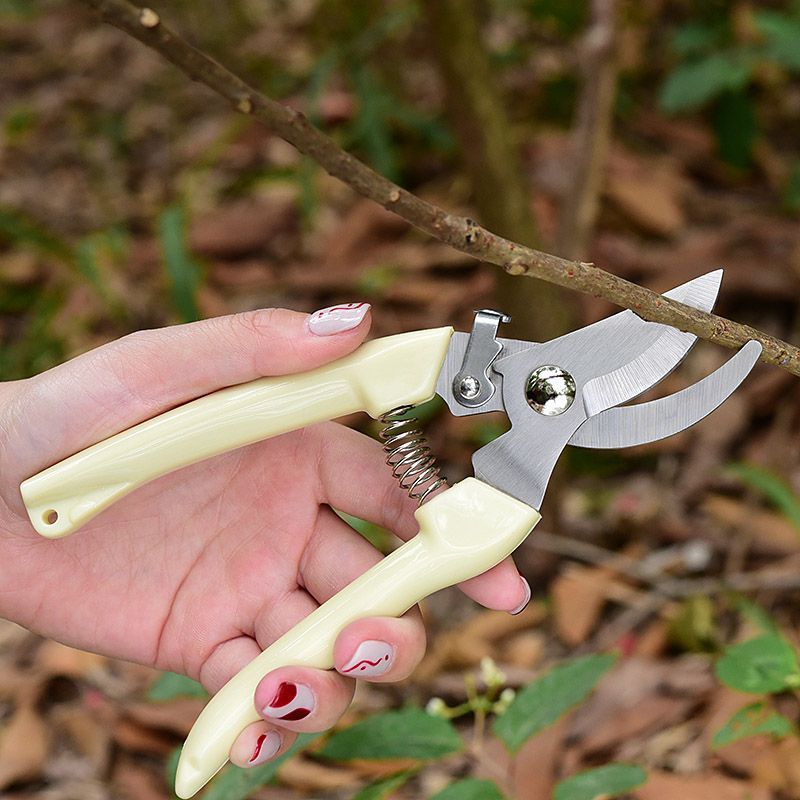 省力型ガーデン剪定鋏、枝、花茎、果樹の剪定用プロ用ハンドプル - Gardening Tools Usa のレビューと価格