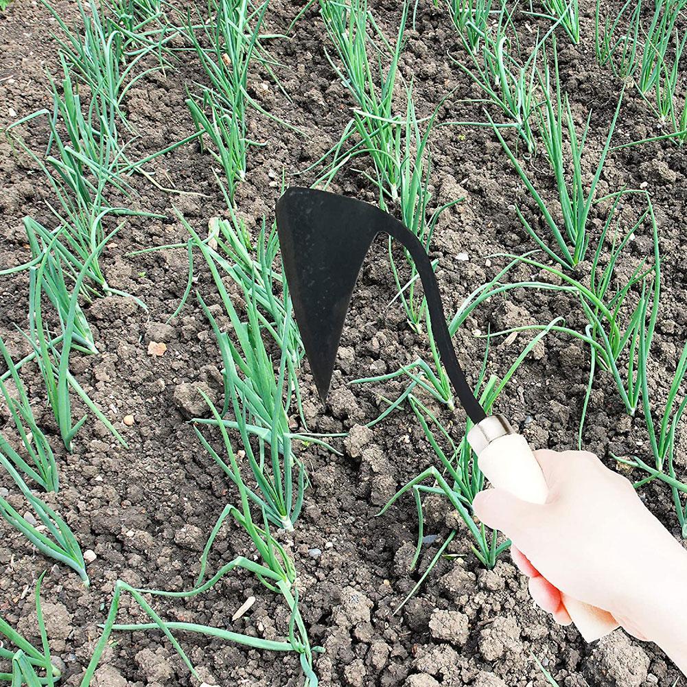 三角形の農業用鍬,農業用ツール,除草,野菜の植え付け,土壌の - Gardening Tools Hoe のレビューと価格