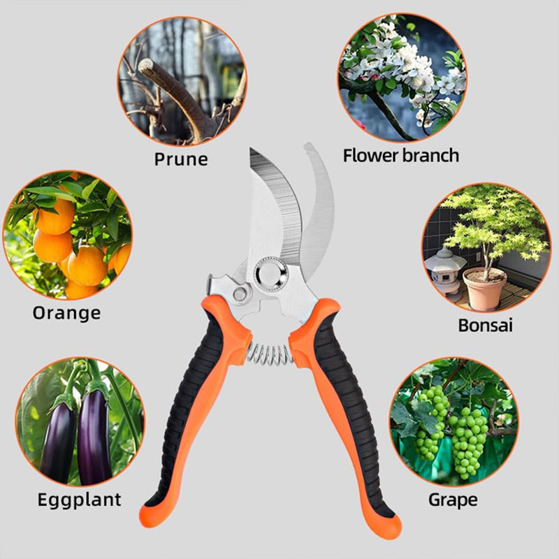 園芸用ハサミ人間工学に基づいたハンドル付き剪定ばさみプロ仕様 - Gardening Tools Sharp のレビューと価格