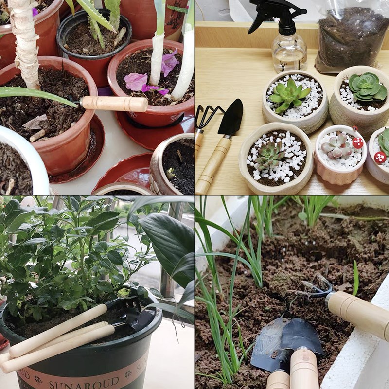 3PC/1 セットミニガーデニングツールセットポータブル小型 - Gardening Tools Usa のレビューと価格