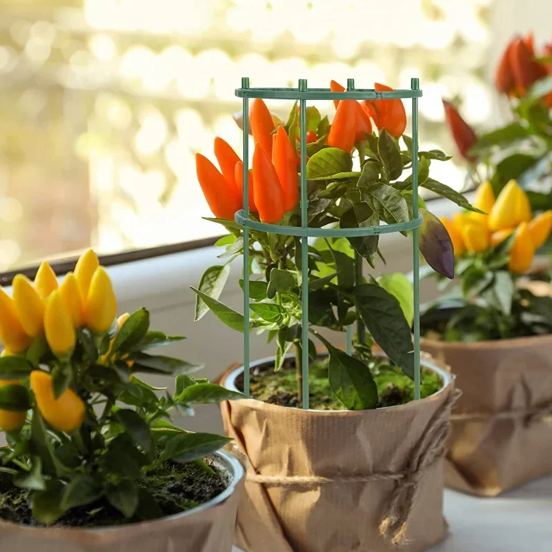 プラスチック製のパイルサポート,植物パイルスタンド,温室の配 - Gardening Tools Hoe のレビューと価格